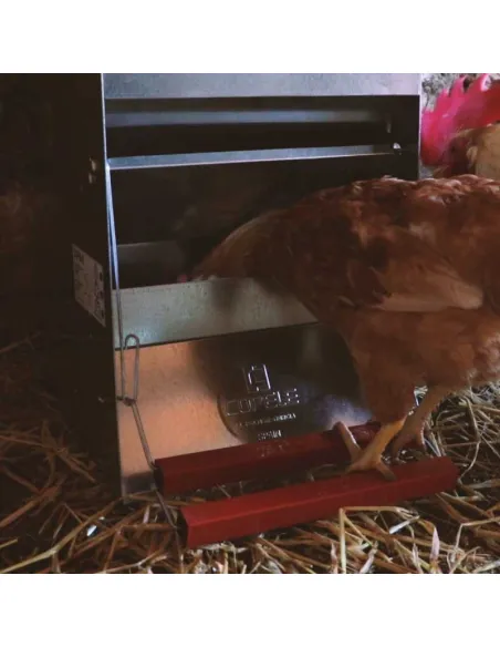 Comedero para gallinas con apertura mecánica "Safeed" | CiberMascotas