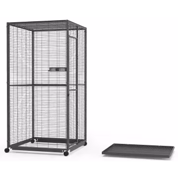 %product-name% %separator% %price% %separator% %shop-name%