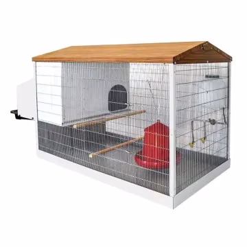 AVICOPE | El gallinero ideal para sus gallinas ponedoras | Copele