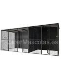 Voladero para loros 5x2 metros