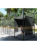 Perrera para perros 2 M2 con parque frontal 4 m2