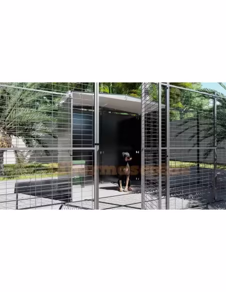 Perrera para perros 2 M2 con parque frontal 4 m2 Perrera para perros 2 M2 con parque frontal 4 m2