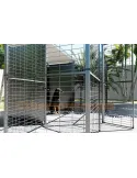 Perrera para perros 2 M2 con parque frontal 4 m2