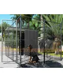 Perrera para perros 3x2 metros