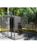 Perrera para perros 3x2 metros