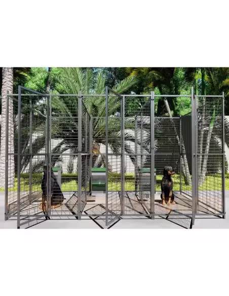 Conjunto 3 jaulas para perros unidas