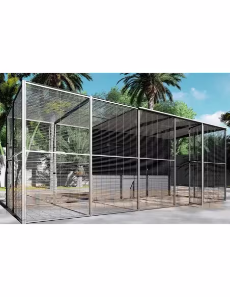 Voladero guacamayo 5x2 Mixto