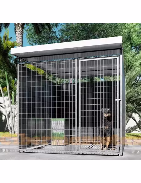Boxes para perros 2x2 Modelo Afra Boxes para perros 2x2 Modelo Afra