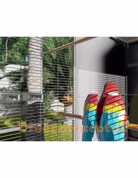 Voladero loro jardin 3x1 metros Voladero loro jardin 3x1 metros