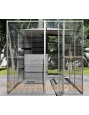 Voladero para loro 2 x 2 metros con techo mixto