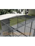 Voladero para loro 2 x 2 metros con techo mixto