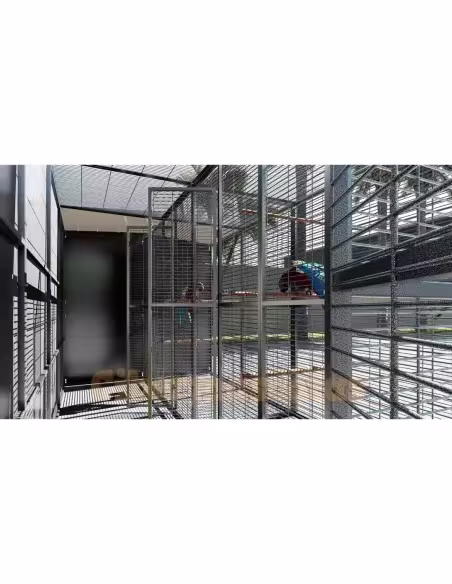 Voladero Loro 4x2 metros Mixto