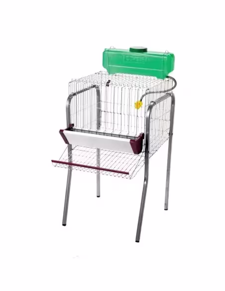 Batería de Gallinas Ponedoras 1 departamento