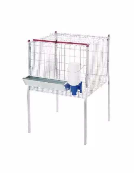 Jaula para Pollos de Engorde