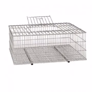 Jaulas para Gallinas | CiberMascotas