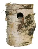 Nido de Madera para Exotico