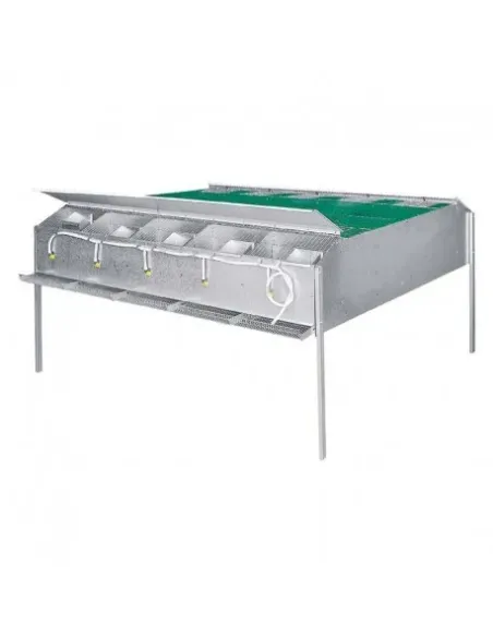 Jaula para Crías de Perdices 10 Departamentos