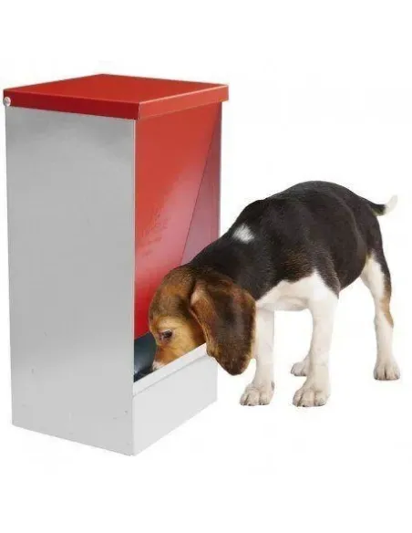 Comedero Tolva Modelo Can