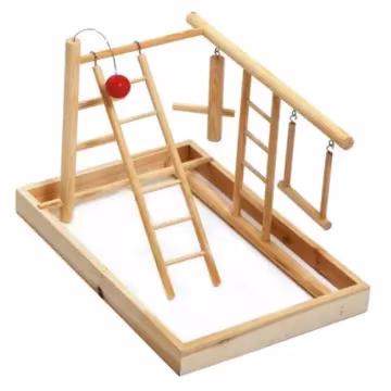 Gimnasio para periquitos y agapornis