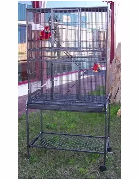 Jaula loro Agapornis | CiberMascotas Jaula loro Agapornis | CiberMascotas