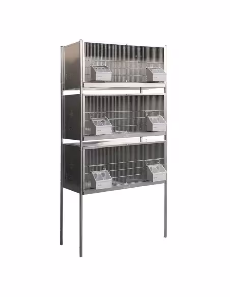 Conjunto Pelechero para palomas de 3 pisos y 6 departamentos Conjunto Pelechero para palomas de 3 pisos y 6 departamentos