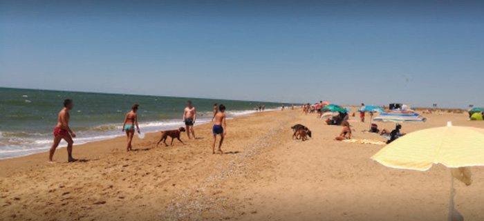 Playa canina en El Espigón (Huelva)