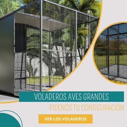 Voladeros Aves grandes